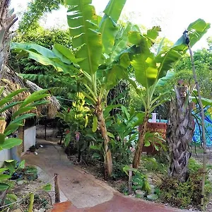 Pensión La Casa De Los Ninos Del Arbol
